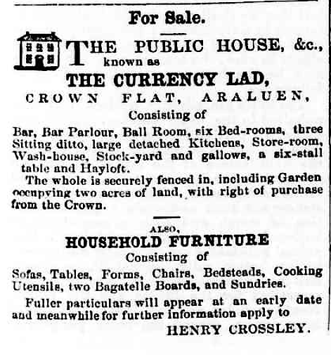 The Currency Lad advertised for sale in Oct 1867