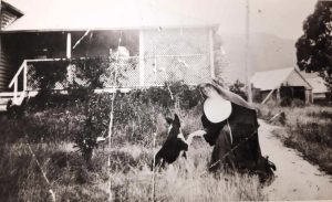 A picture of Sister Amanda with Father Dwyer's dog at the RC Presbytery mid 1920's