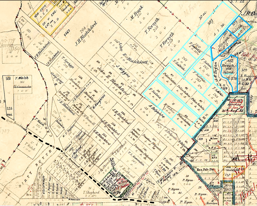 A map of Newtown showing the Portions purchased by Felice Salvia