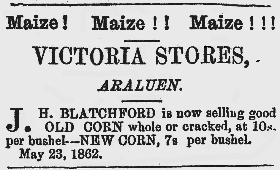 Victoria Stores advertising Maize for sale in 1862