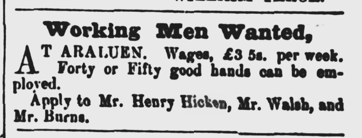 An advertisement placed March 1856 in the Goulburn Herald for working men.