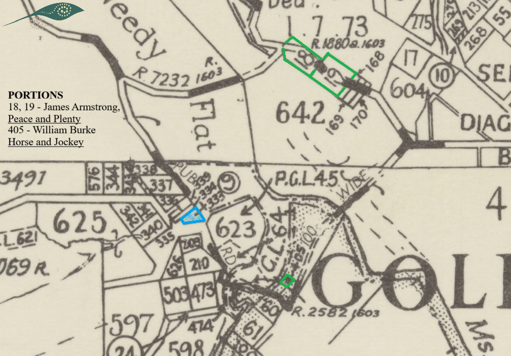 A map showing the Mary Hickins land portions at Burketown with nearby land highlighted for Horse and Jockey and Peace and Plenty Public Houses.